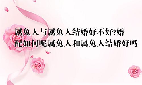 属兔人与属兔人结婚好不好?婚配如何呢属兔人和属兔人结婚好吗