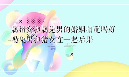 属猪女和属兔男的婚姻相配吗好吗兔男和猪女在一起后果