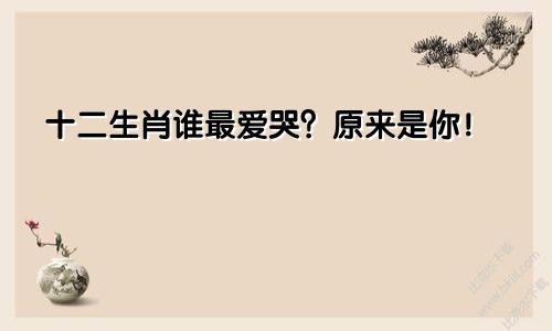 十二生肖谁最爱哭？原来是你！