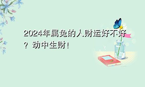 2024年属兔的人财运好不好？动中生财！