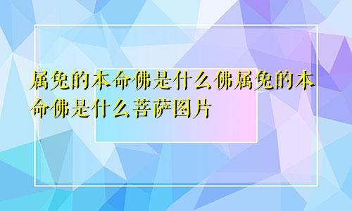 属兔的本命佛是什么佛属兔的本命佛是什么菩萨图片