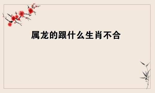 属龙的跟什么生肖不合