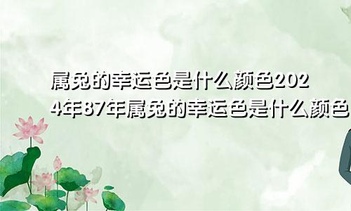 属兔的幸运色是什么颜色2024年87年属兔的幸运色是什么颜色
