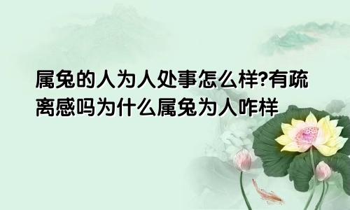 属兔的人为人处事怎么样?有疏离感吗为什么属兔为人咋样