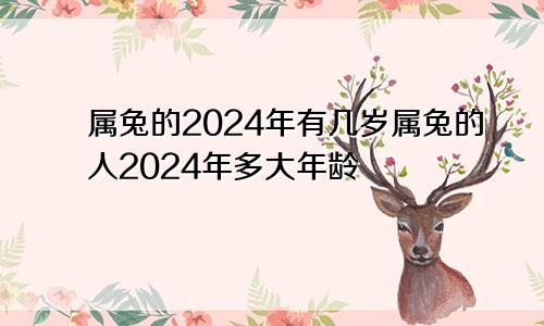 属兔的2024年有几岁属兔的人2024年多大年龄