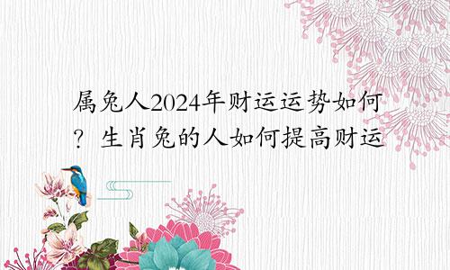 属兔人2024年财运运势如何？生肖兔的人如何提高财运