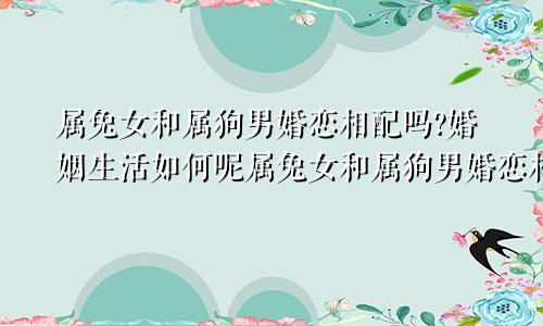 属兔女和属狗男婚恋相配吗?婚姻生活如何呢属兔女和属狗男婚恋相配吗?婚姻生活如何样