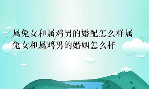 属兔女和属鸡男的婚配怎么样属兔女和属鸡男的婚姻怎么样