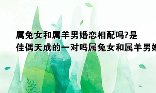 属兔女和属羊男婚恋相配吗?是佳偶天成的一对吗属兔女和属羊男婚恋相配吗?是佳偶天成的一对情侣吗