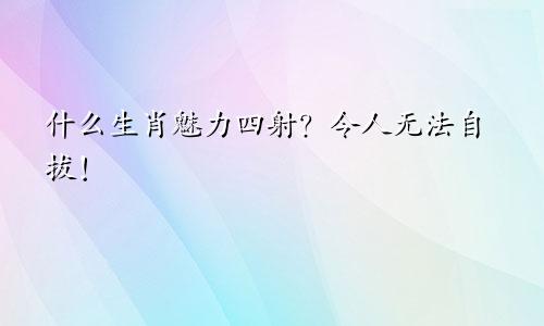什么生肖魅力四射？令人无法自拔！