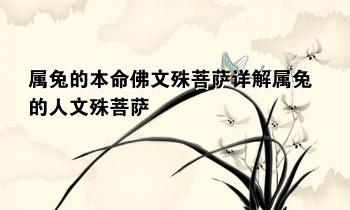 属兔的本命佛文殊菩萨详解属兔的人文殊菩萨