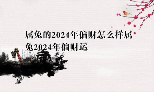 属兔的2024年偏财怎么样属兔2024年偏财运