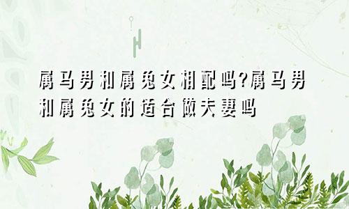 属马男和属兔女相配吗?属马男和属兔女的适合做夫妻吗