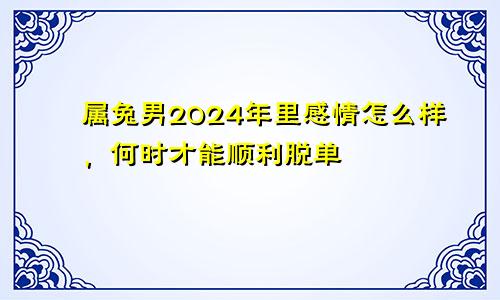 属兔男2024年里感情怎么样，何时才能顺利脱单