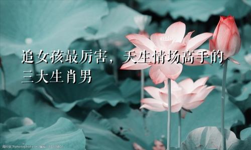 追女孩最厉害，天生情场高手的三大生肖男