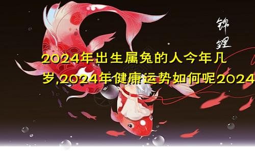 2024年出生属兔的人今年几岁,2024年健康运势如何呢2024年出生的今年几岁