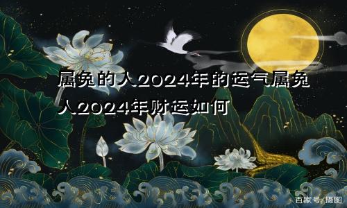 属兔的人2024年的运气属兔人2024年财运如何