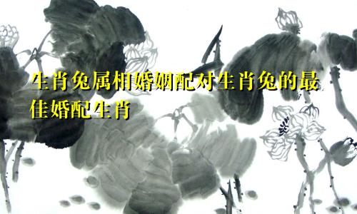 生肖兔属相婚姻配对生肖兔的最佳婚配生肖