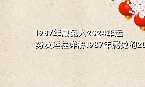 1987年属兔人2024年运势及运程详解1987年属兔的2024年运势如何