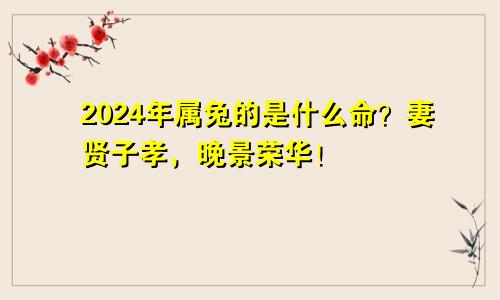 2024年属兔的是什么命？妻贤子孝，晚景荣华！