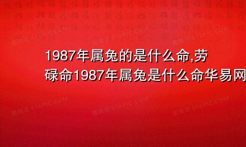 1987年属兔的是什么命,劳碌命1987年属兔是什么命华易网