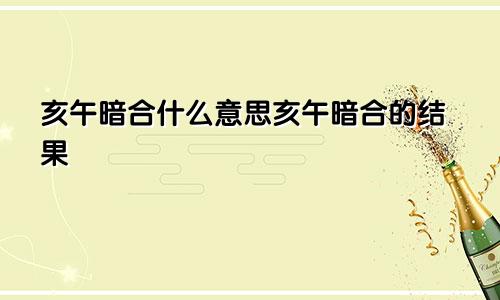 亥午暗合什么意思亥午暗合的结果