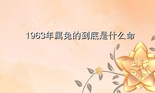 1963年属兔的到底是什么命