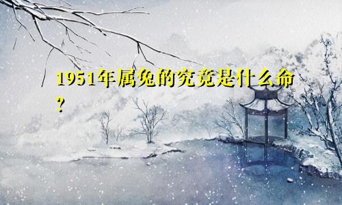 1951年属兔的究竟是什么命？