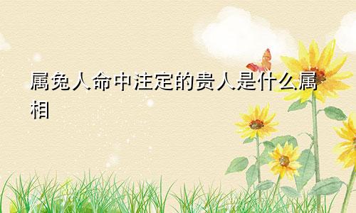 属兔人命中注定的贵人是什么属相