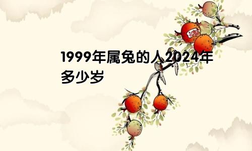 1999年属兔的人2024年多少岁