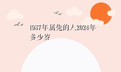 1987年属兔的人2024年多少岁