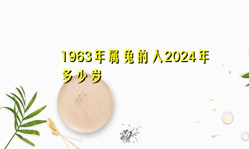 1963年属兔的人2024年多少岁