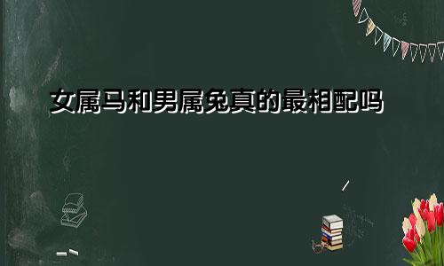 女属马和男属兔真的最相配吗