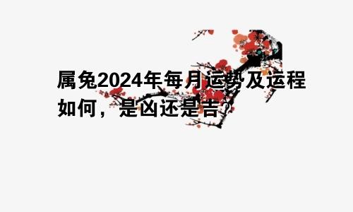 属兔2024年每月运势及运程如何，是凶还是吉？