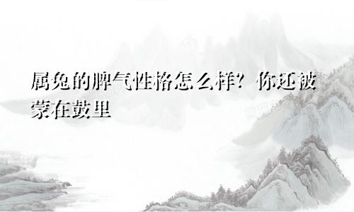 属兔的脾气性格怎么样？你还被蒙在鼓里