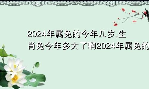 2024年属兔的今年几岁,生肖兔今年多大了啊2024年属兔的多大岁数