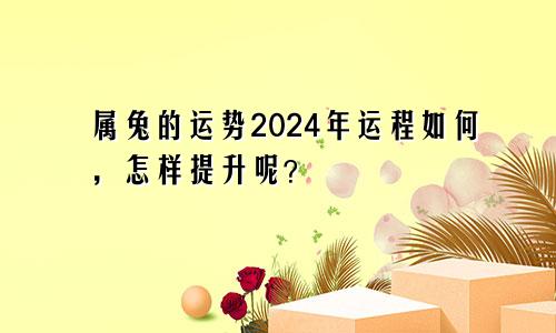 属兔的运势2024年运程如何，怎样提升呢？