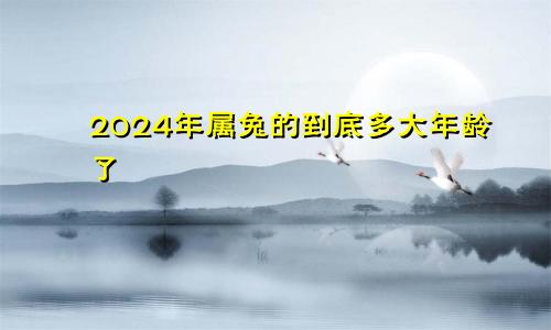 2024年属兔的到底多大年龄了