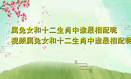 属兔女和十二生肖中谁最相配呢视频属兔女和十二生肖中谁最相配呢图片