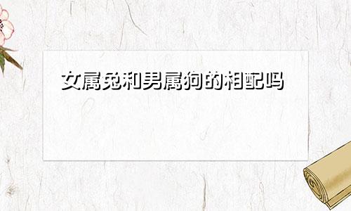 女属兔和男属狗的相配吗
