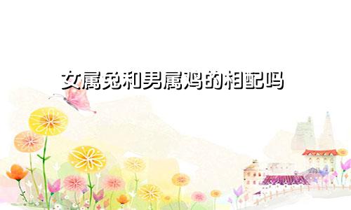 女属兔和男属鸡的相配吗