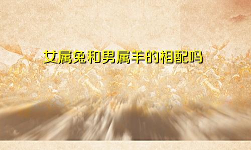 女属兔和男属羊的相配吗