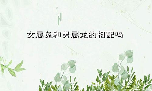 女属兔和男属龙的相配吗