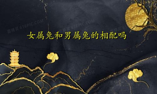 女属兔和男属兔的相配吗