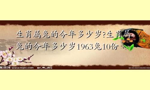 生肖属兔的今年多少岁?生肖属兔的今年多少岁1963兔10份