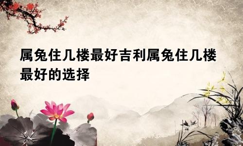 属兔住几楼最好吉利属兔住几楼最好的选择