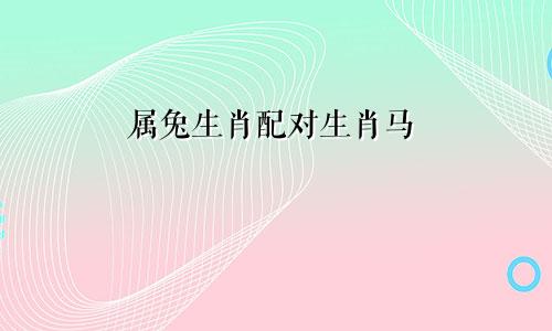 属兔生肖配对生肖马