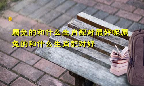 属兔的和什么生肖配对最好呢属兔的和什么生肖配对好