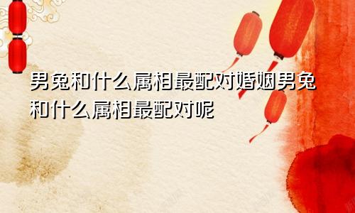 男兔和什么属相最配对婚姻男兔和什么属相最配对呢