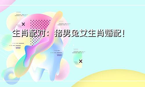 生肖配对：猪男兔女生肖婚配！